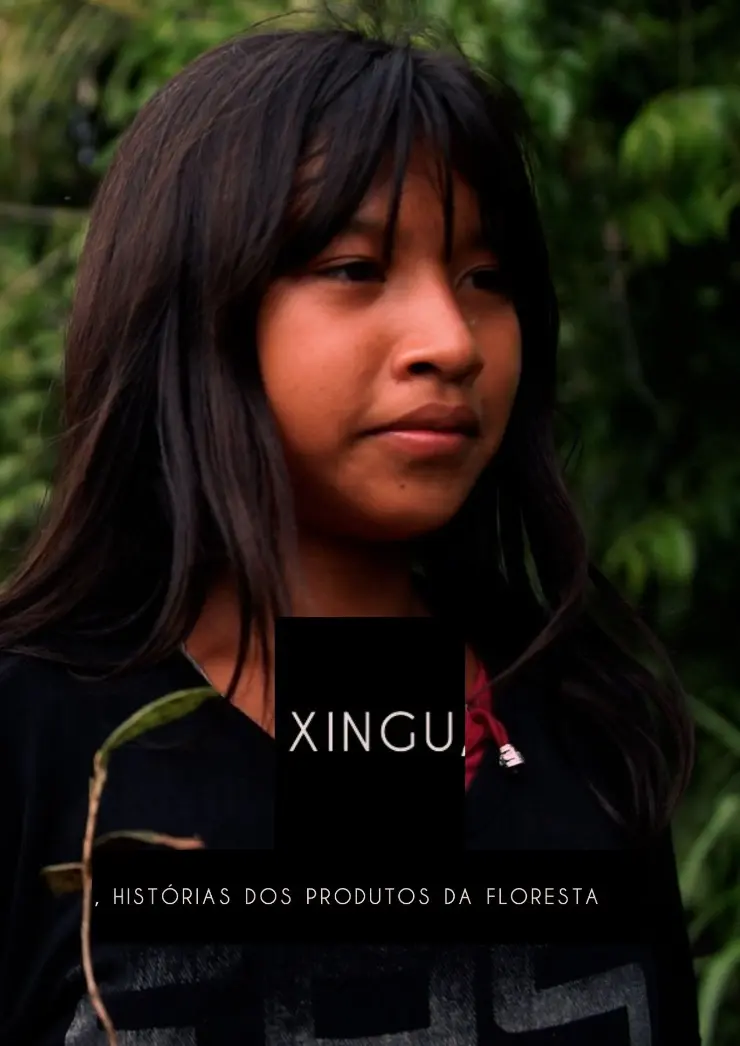 Poster do vídeo Xingu