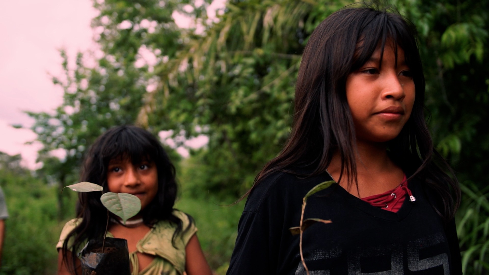 Poster do vídeo Xingu