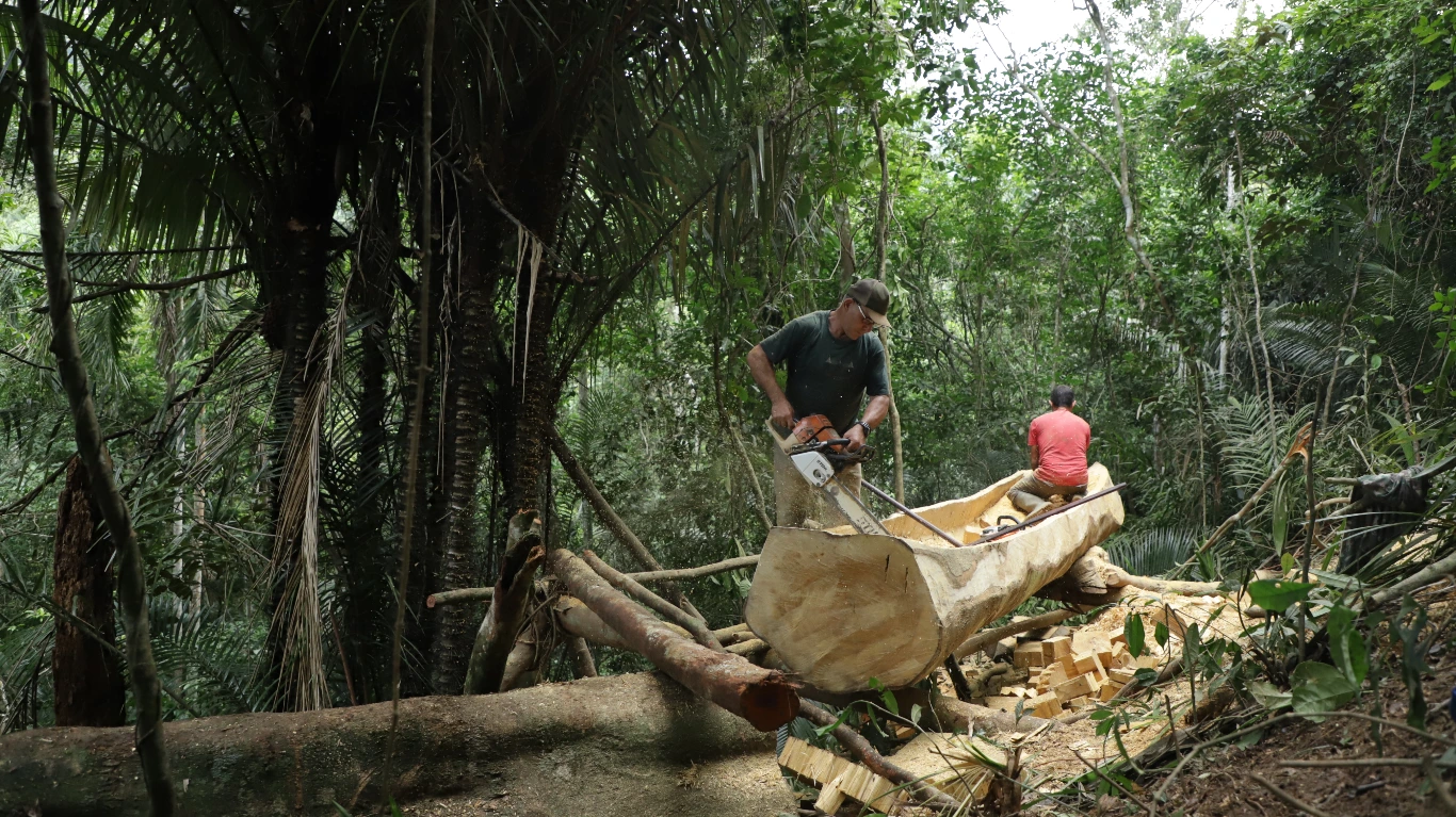 Poster do vídeo Visões do Mar - Canoa - Caminhos de Terra e Mar