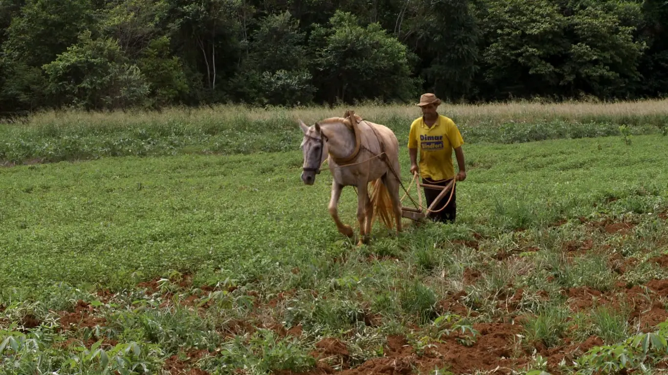 Poster do vídeo Agricultura Tamanho Família