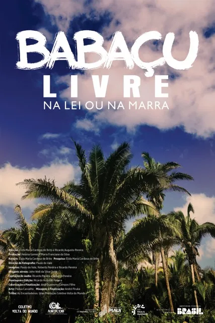 Poster do vídeo Facine: Babaçu livre: na lei ou na marra