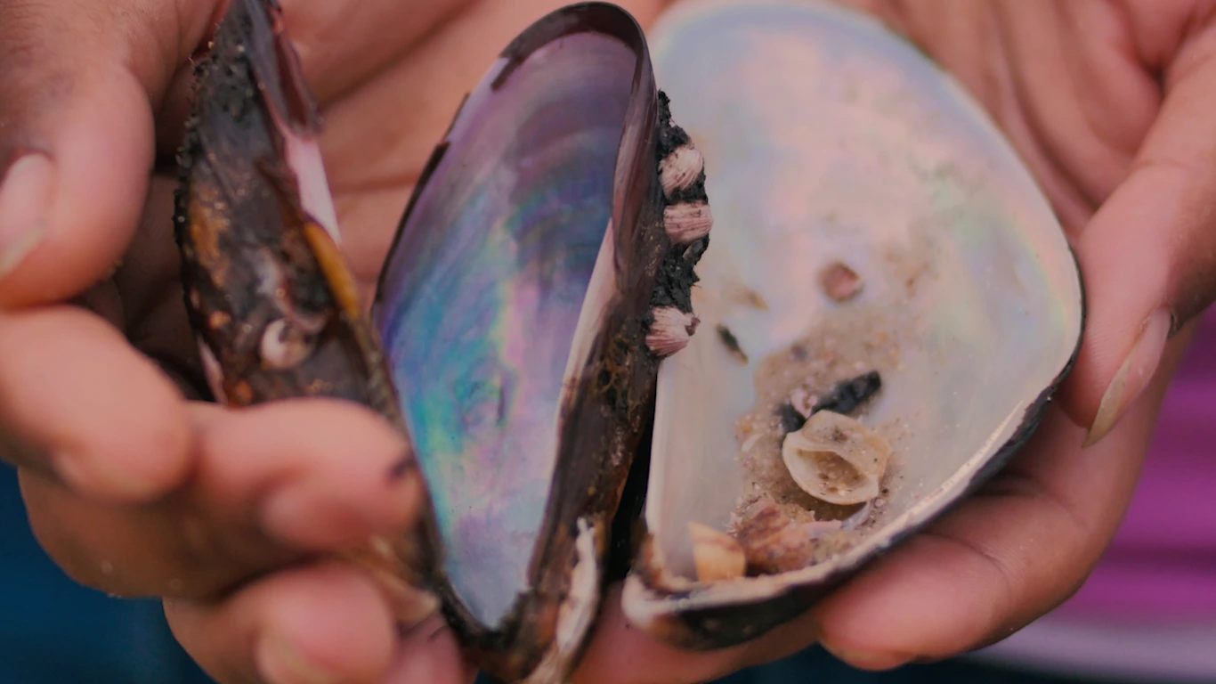 Poster do vídeo Visões do Mar - As Marisqueiras de Boa Viagem