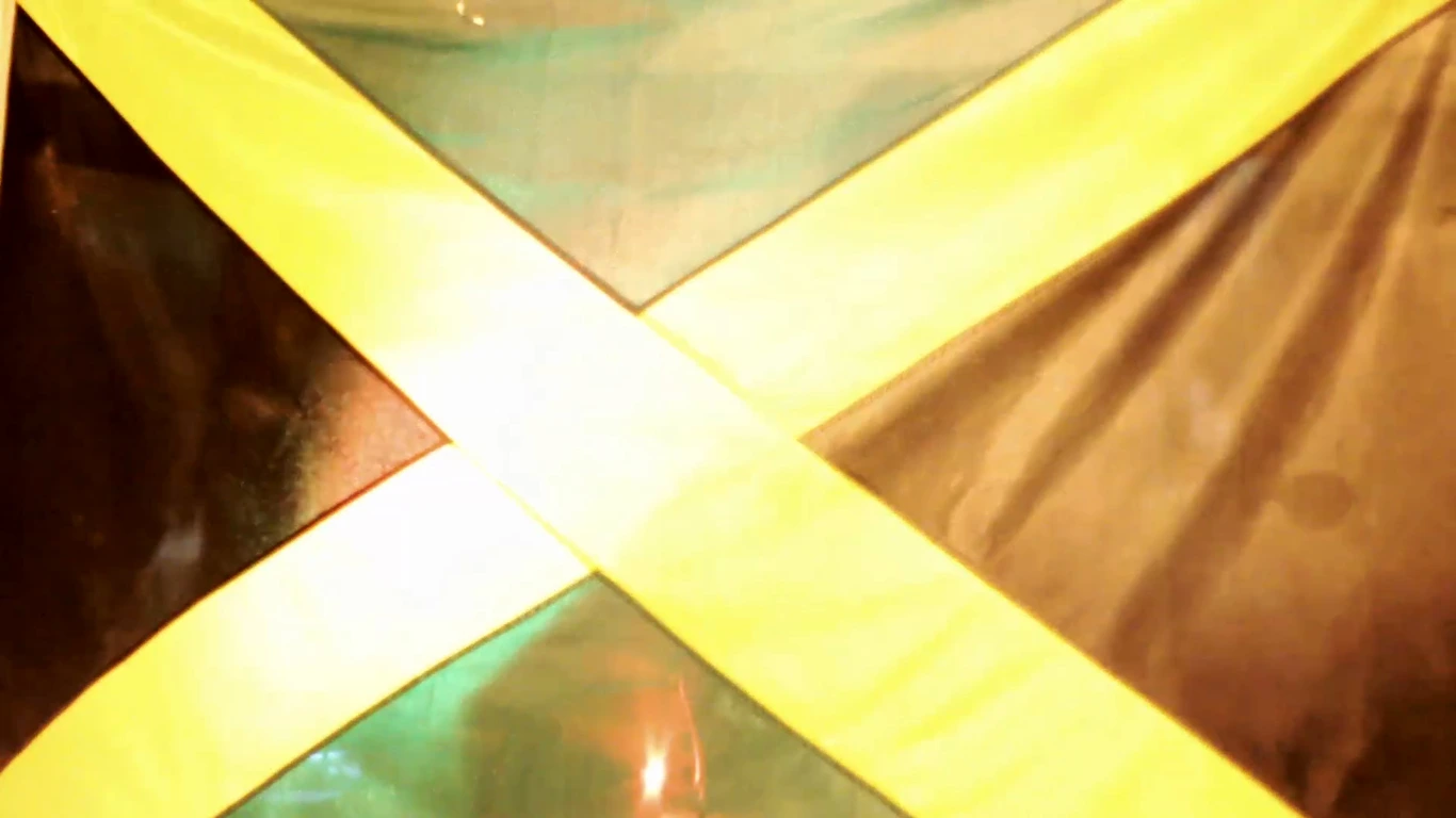 Poster do vídeo  FICC - InDUBtável 2 – Reggae Documento 