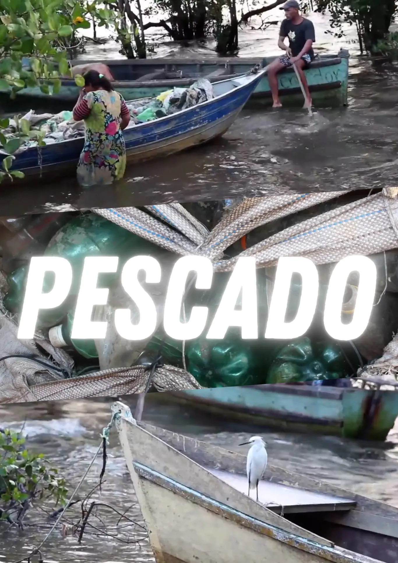 Poster do vídeo Pescado