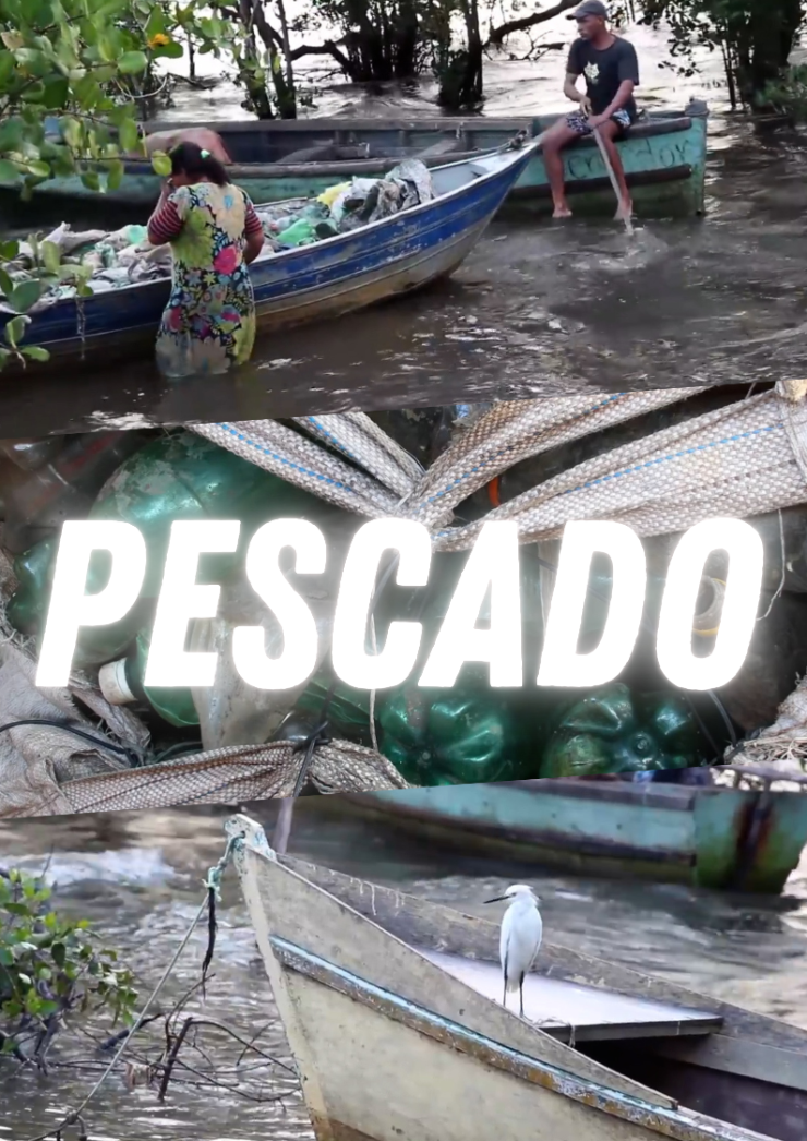Poster do vídeo Pescado
