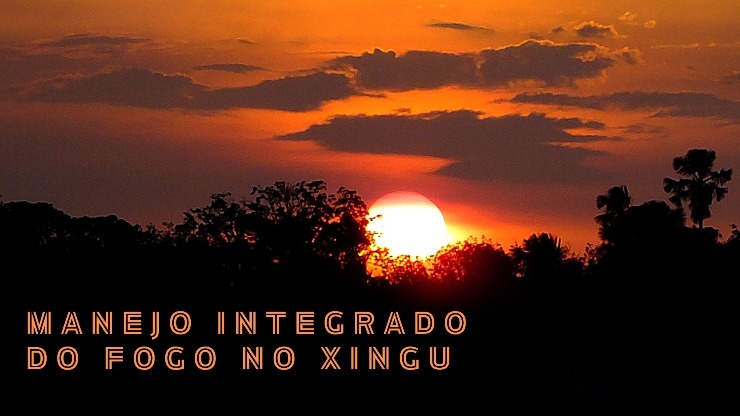 Poster do vídeo Manejo Integrado do Fogo no Xingu