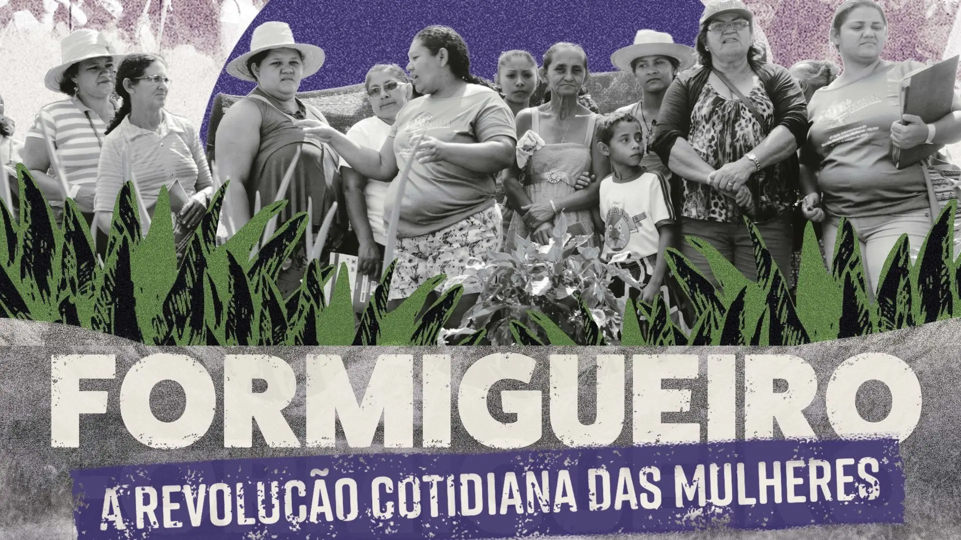 Formigueiro, image size:1920x1080