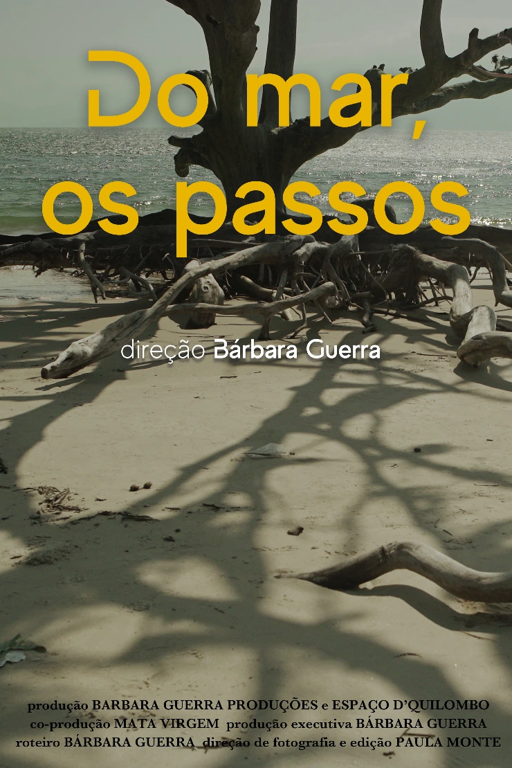 Poster do vídeo Visões do Mar - Do mar, os passos