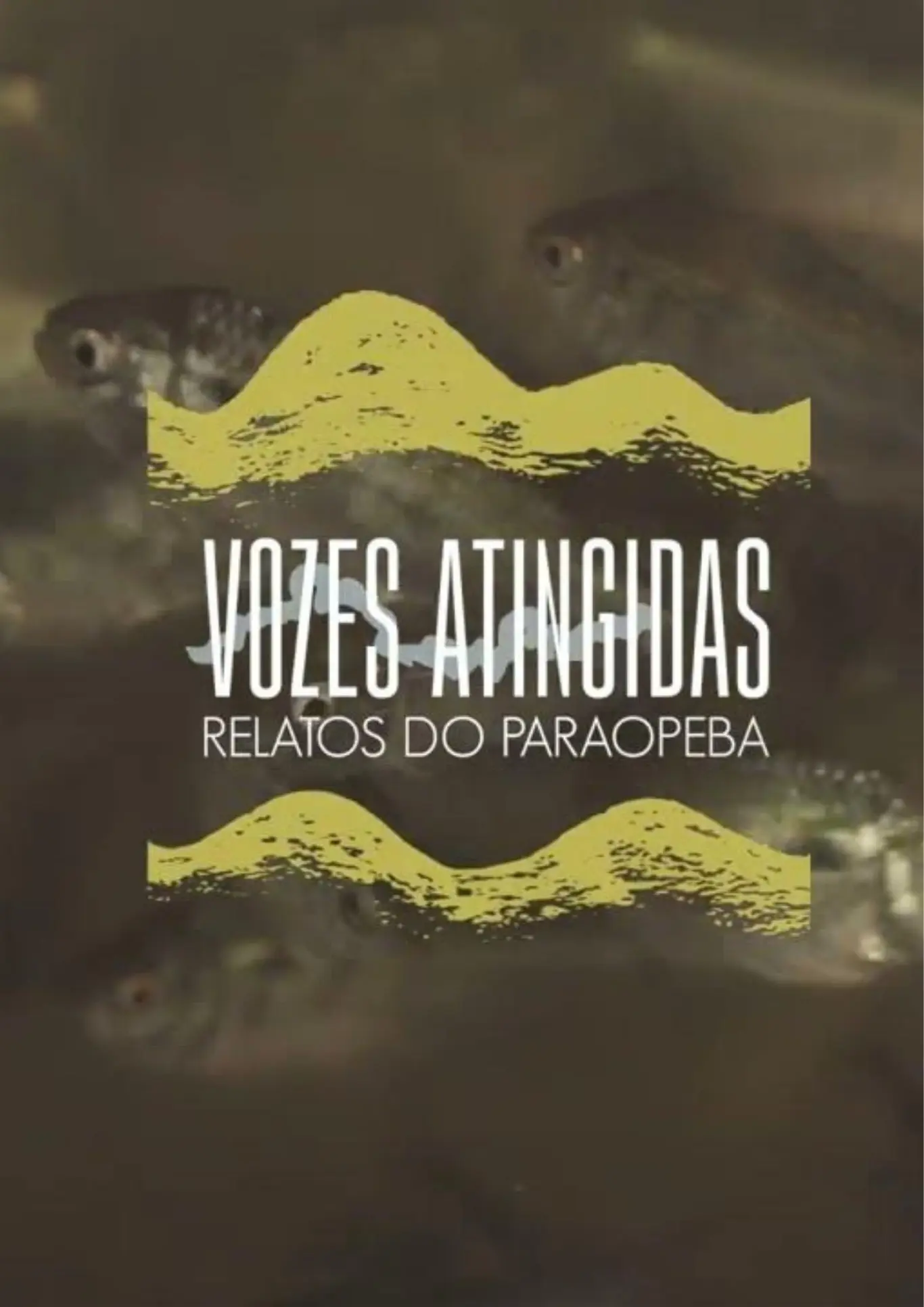 Poster do vídeo Vozes Atingidas