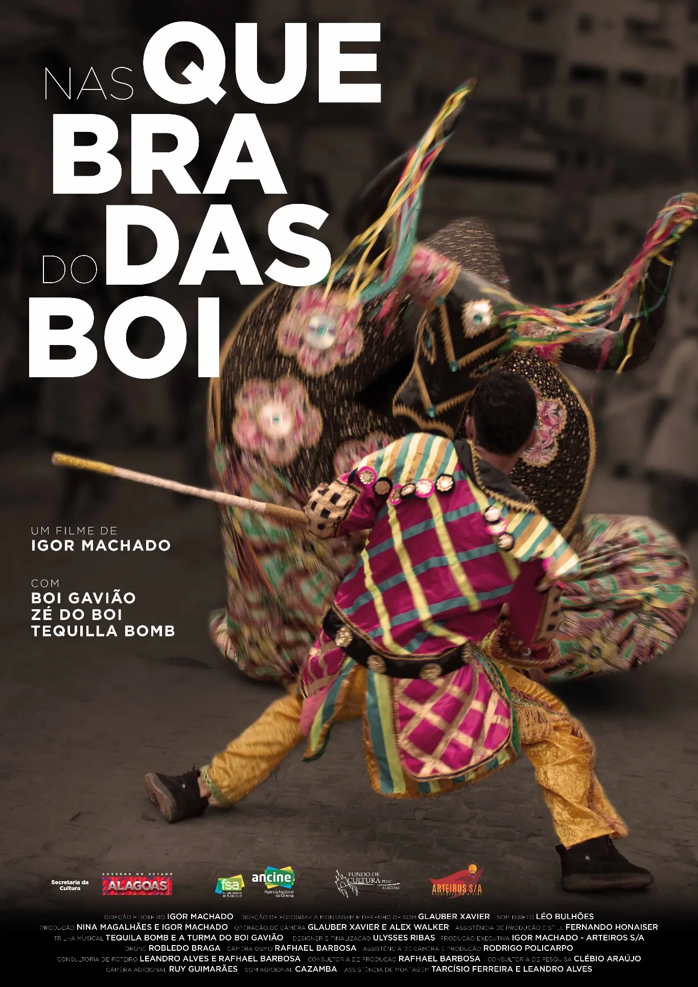 Poster do vídeo Nas Quebradas do Boi