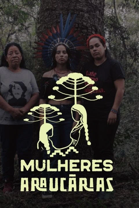 Poster do vídeo Mulheres Araucária