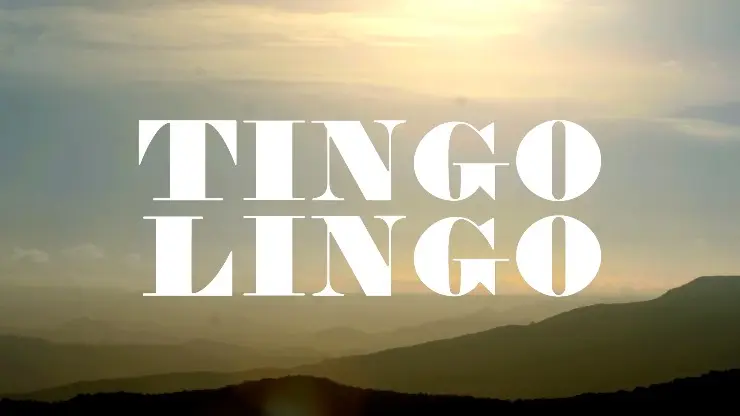 Poster do vídeo Tingo Lingo