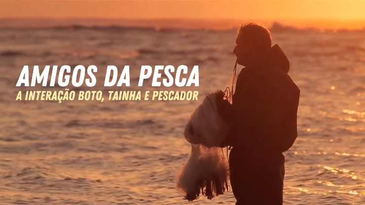 Poster do vídeo Amigos da Pesca