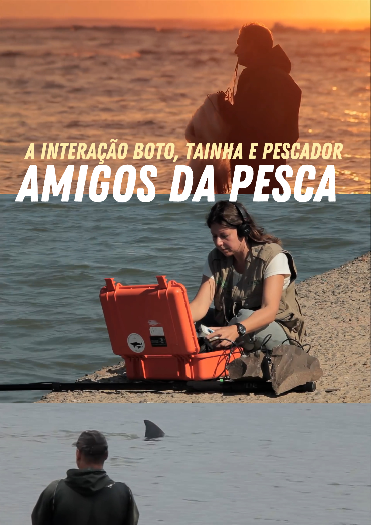 Poster do vídeo Amigos da Pesca