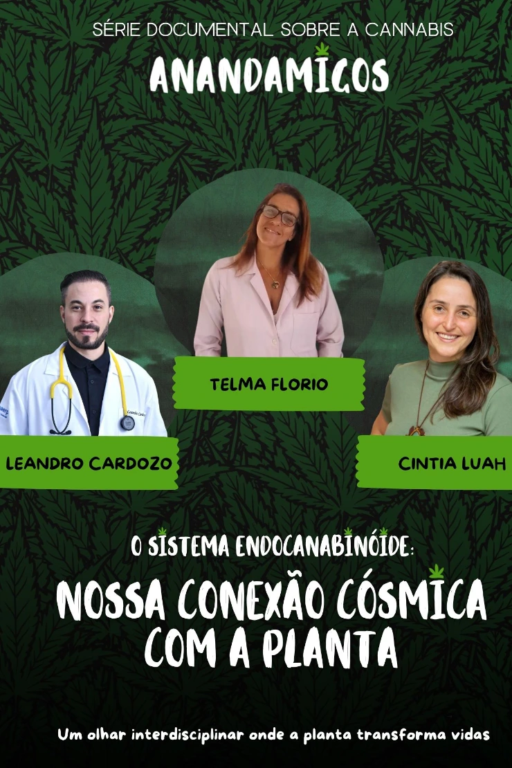 Poster do vídeo FICC - O Sistema Endocanabinóide