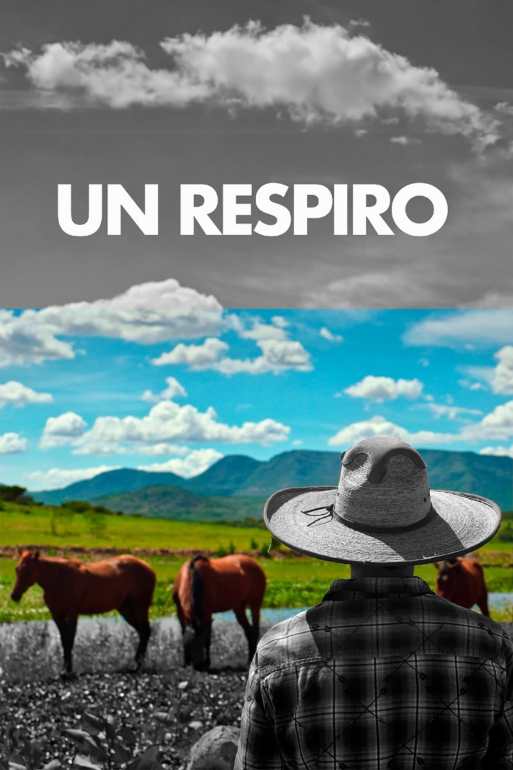 Poster do vídeo FICC - Un Respiro