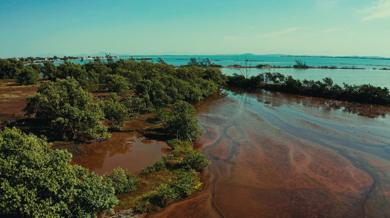 Poster do vídeo Visões do Mar - Manguezais da Região dos Lagos
