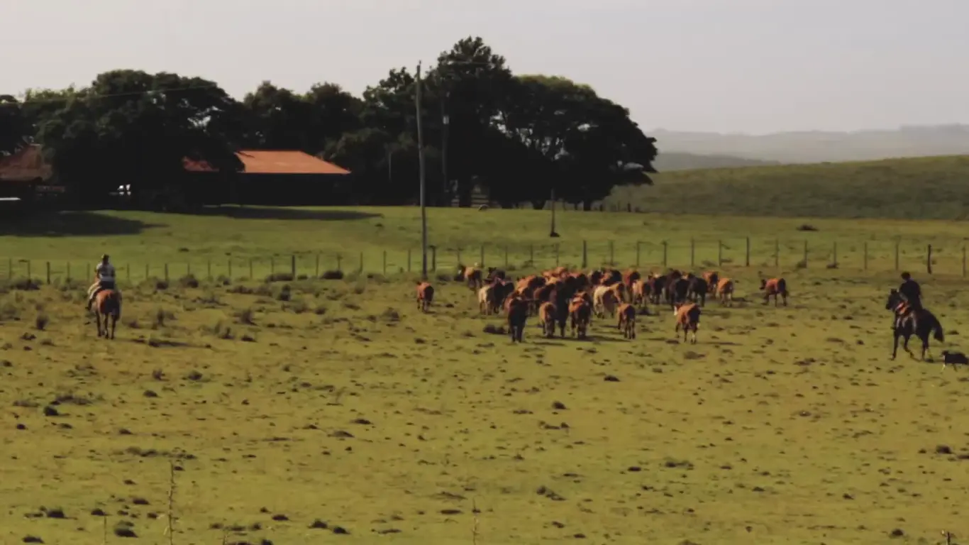 Poster do vídeo Territórios em Risco - Episódio 02