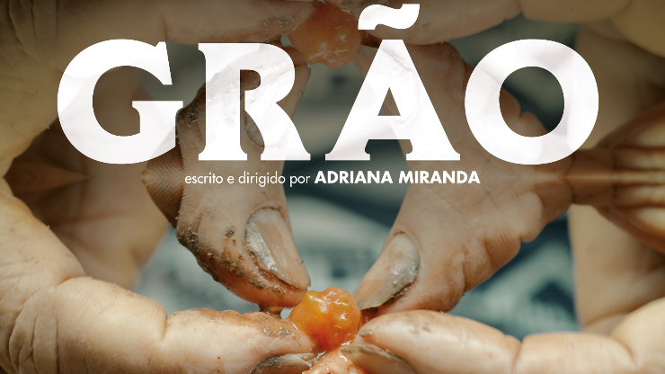 Poster do vídeo Grão