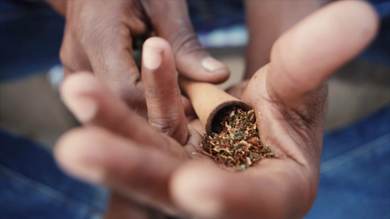 Poster do vídeo FICC - Le savoir-faire du cannabis