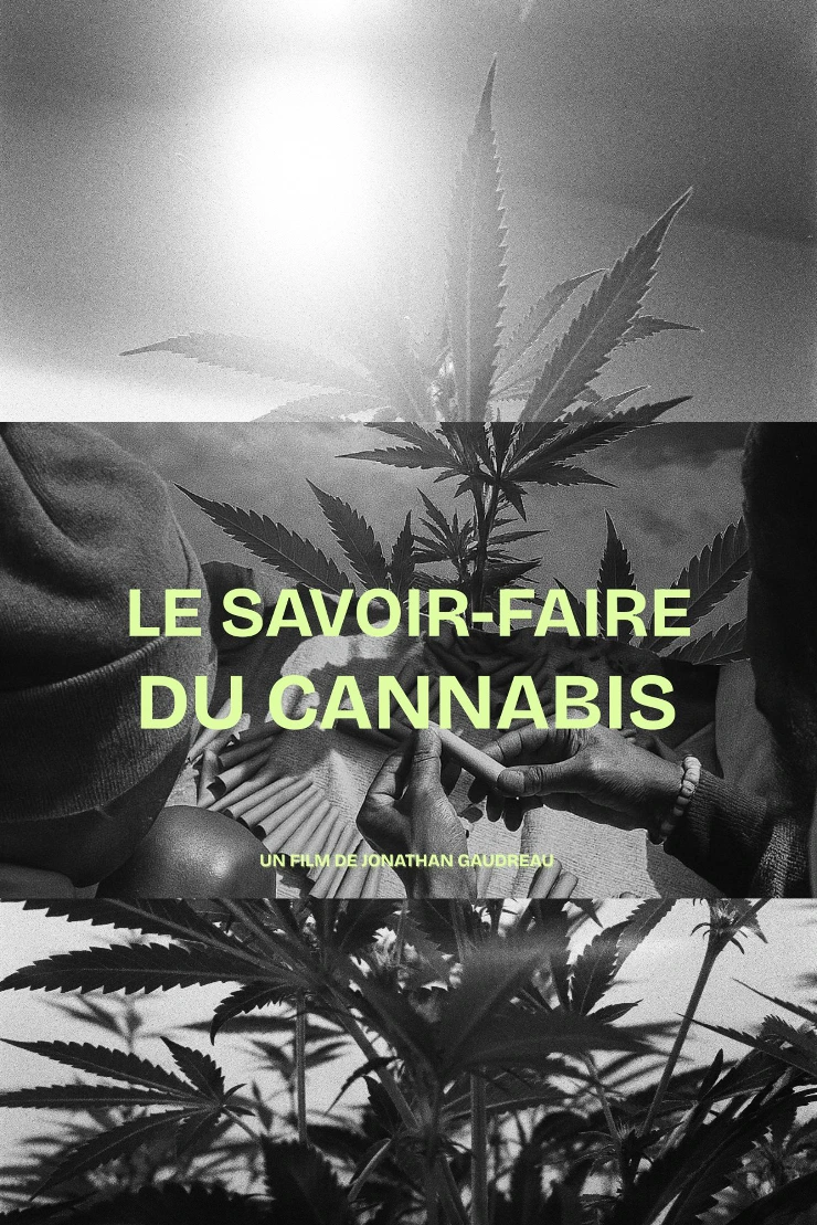 Poster do vídeo FICC - Le savoir-faire du cannabis