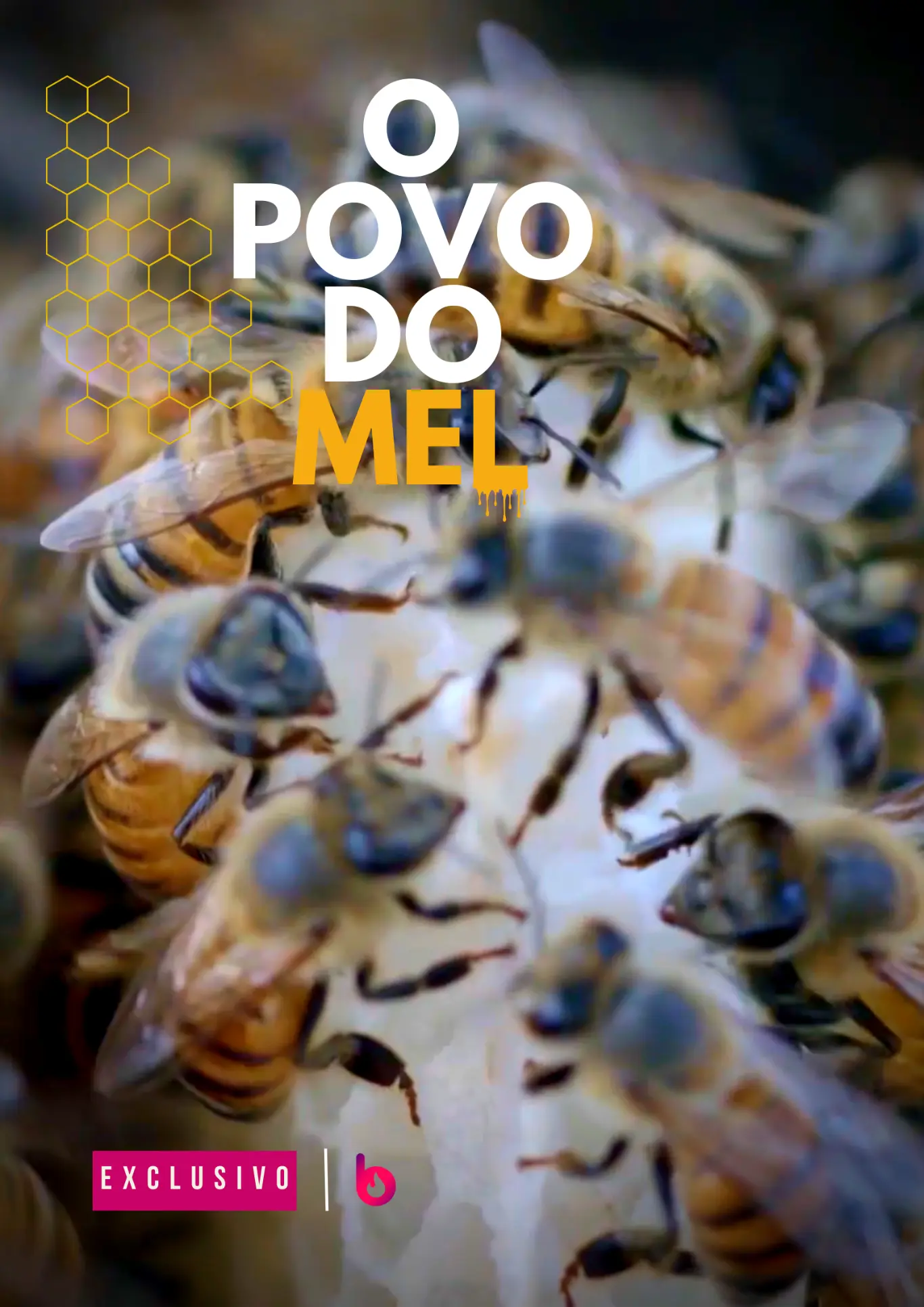 Poster do vídeo O Povo do Mel