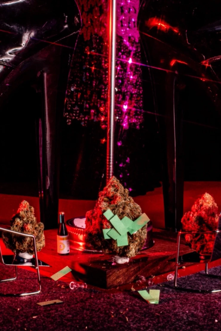 Poster do vídeo FICC - Strip Buds