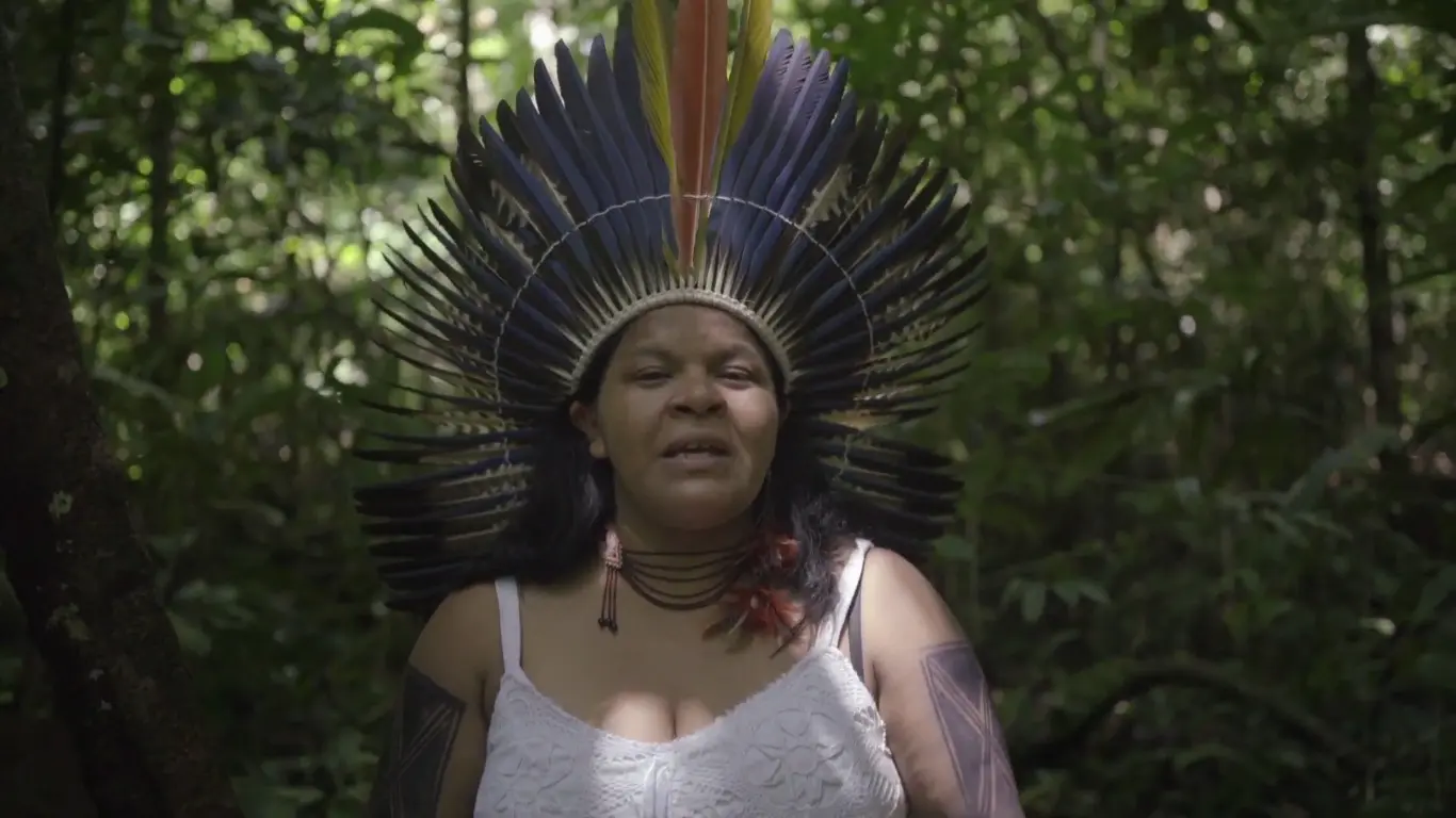 Poster do vídeo Os Donos da Floresta em Perigo