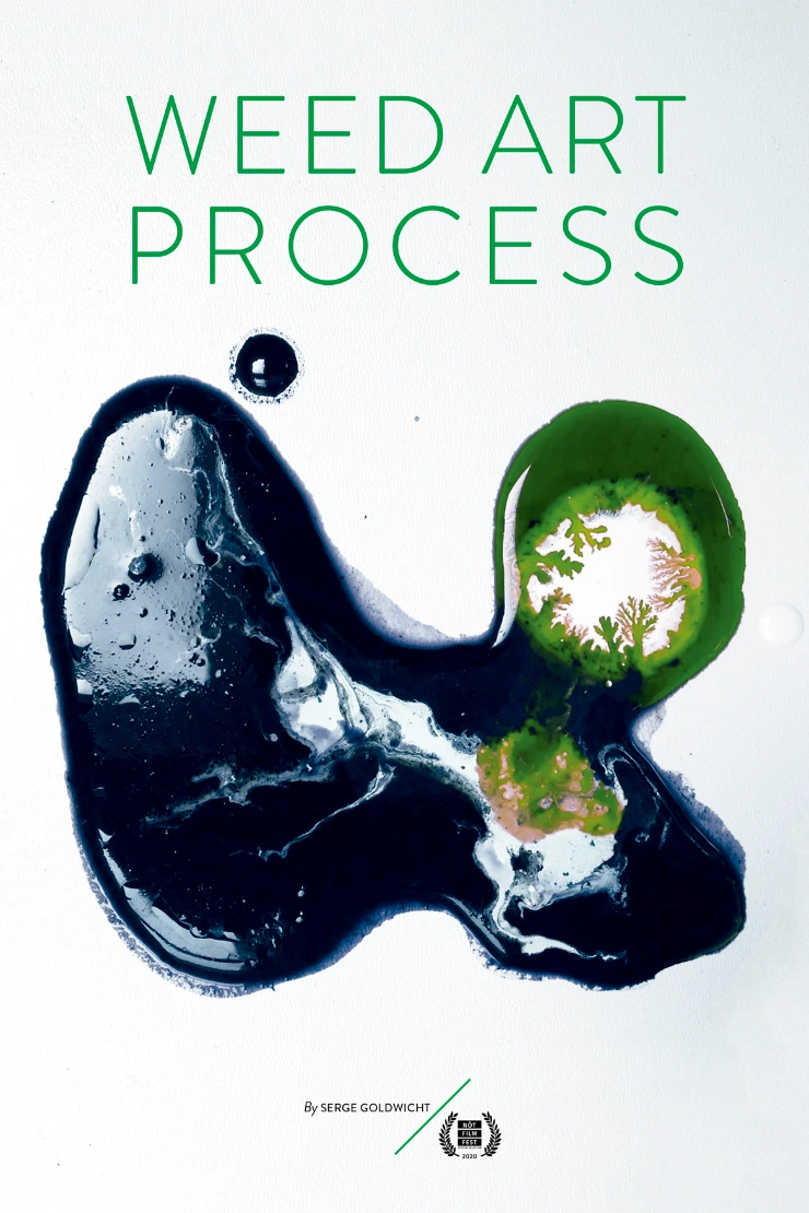 Poster do vídeo FICC - The Weed Art Process