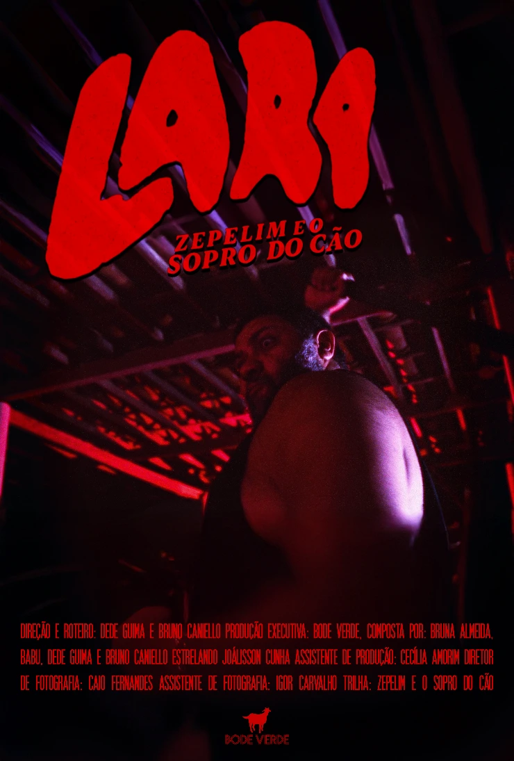 Poster do vídeo FICC - Lara