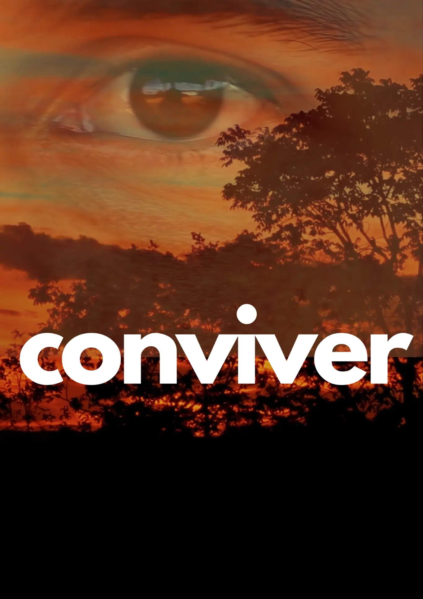 Poster do vídeo Conviver