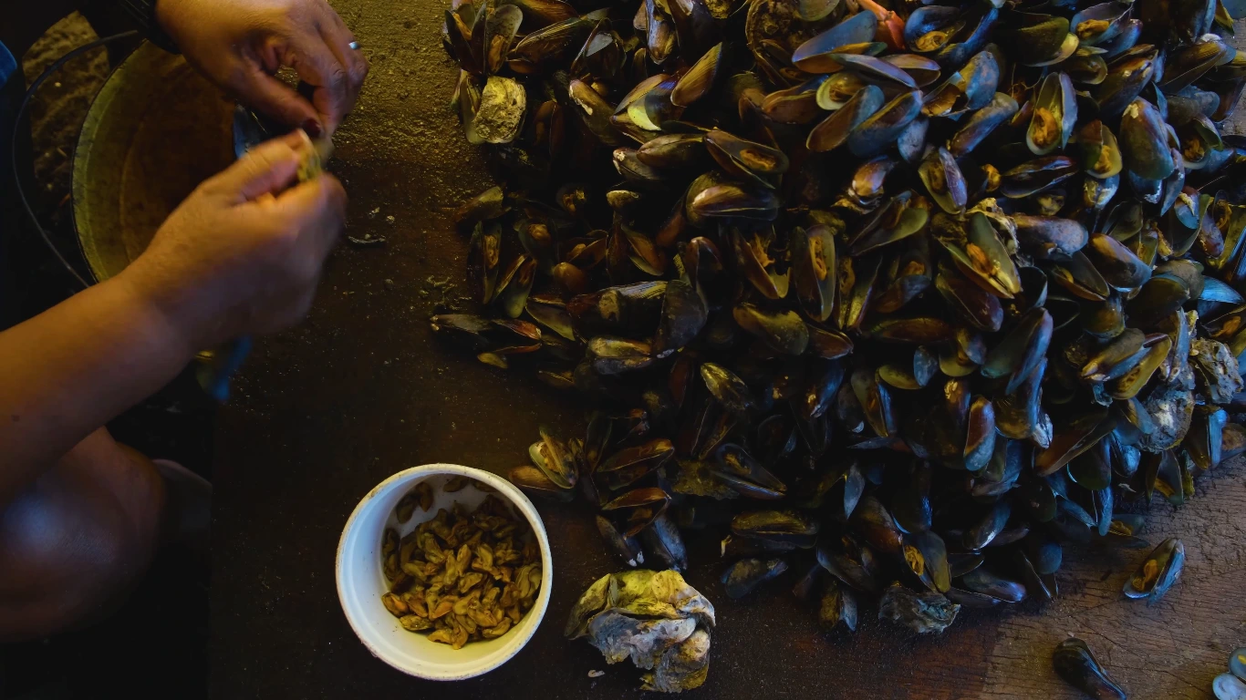 Poster do vídeo Visões do Mar - Maré Grande