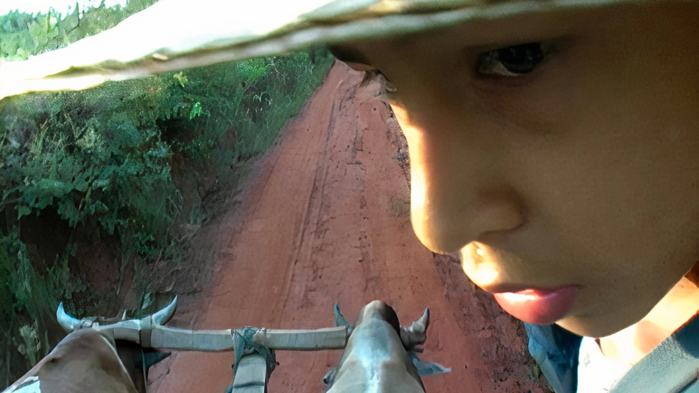 Poster do vídeo Tierra Roja